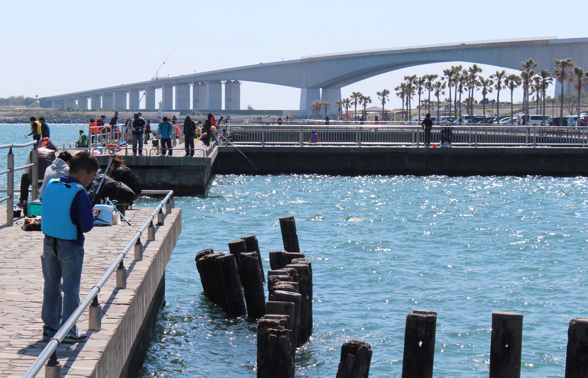 シーズン到来 秋のフィッシングは浜名湖へ 湖西 新居観光協会 公式